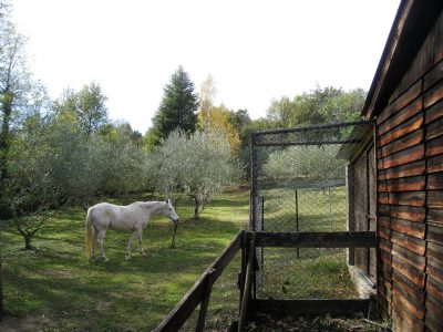 Moulin de la Passère, jardin